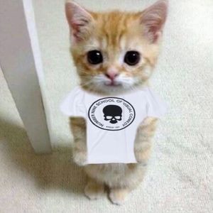 Meet your Posher, Trinity